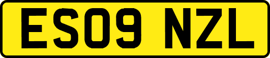 ES09NZL