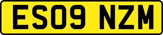 ES09NZM