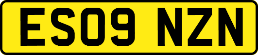 ES09NZN