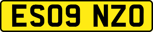 ES09NZO