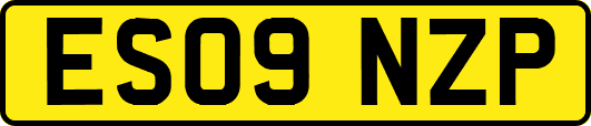 ES09NZP