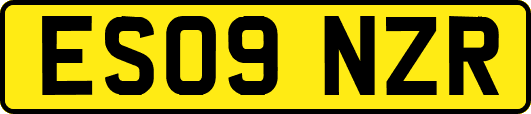 ES09NZR