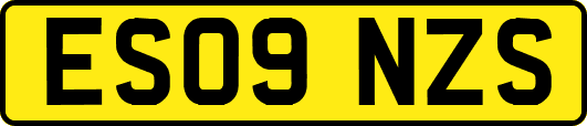 ES09NZS