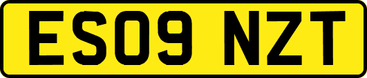 ES09NZT