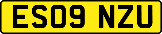 ES09NZU