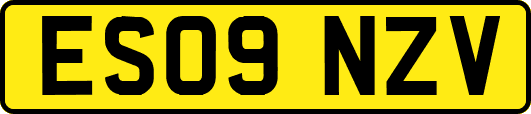 ES09NZV