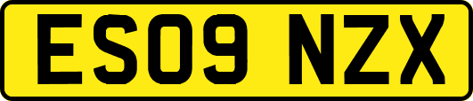 ES09NZX