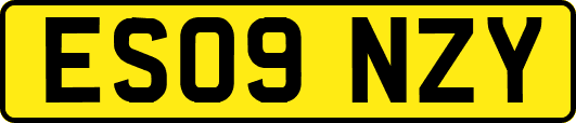 ES09NZY