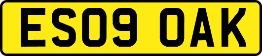 ES09OAK