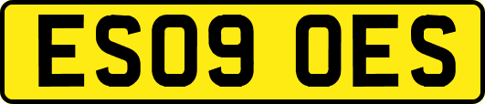 ES09OES