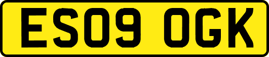 ES09OGK