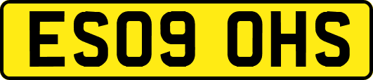 ES09OHS