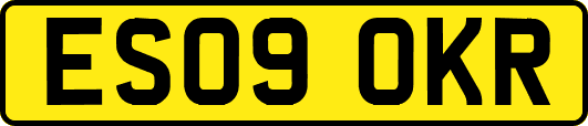 ES09OKR