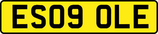ES09OLE