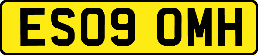 ES09OMH