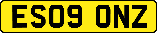 ES09ONZ