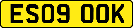 ES09OOK
