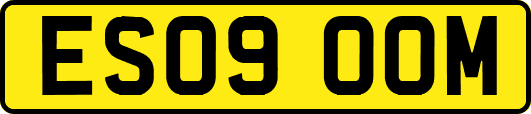 ES09OOM