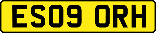 ES09ORH
