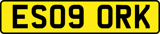 ES09ORK