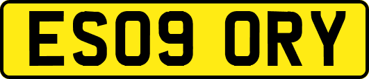 ES09ORY