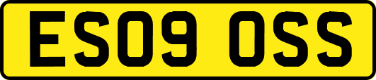ES09OSS
