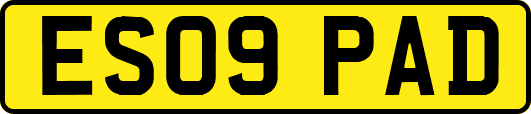 ES09PAD