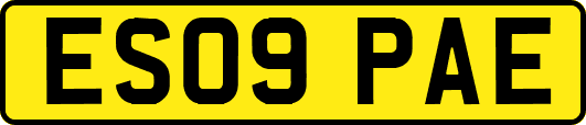 ES09PAE