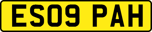 ES09PAH
