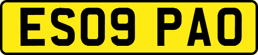ES09PAO