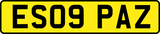 ES09PAZ