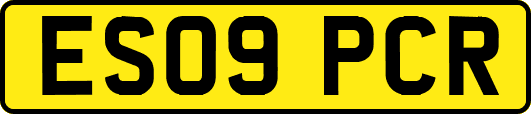 ES09PCR