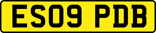 ES09PDB