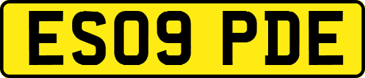 ES09PDE