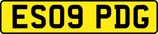 ES09PDG