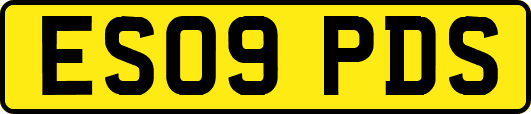 ES09PDS