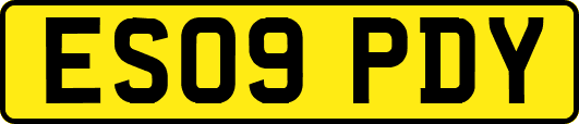 ES09PDY