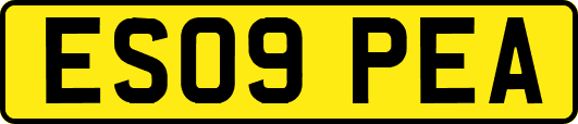 ES09PEA