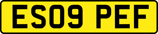 ES09PEF