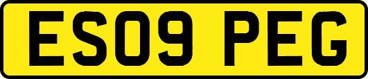 ES09PEG