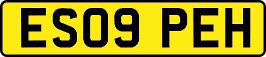 ES09PEH