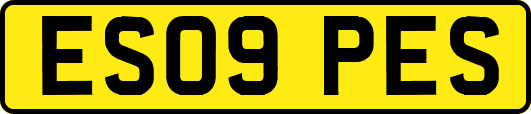 ES09PES
