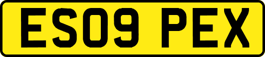 ES09PEX