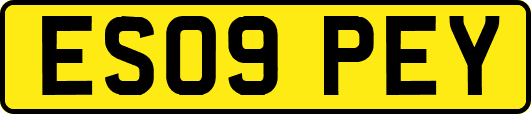 ES09PEY