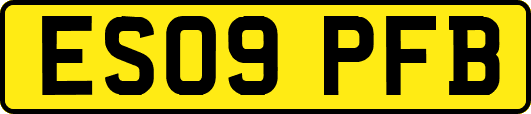 ES09PFB