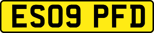 ES09PFD