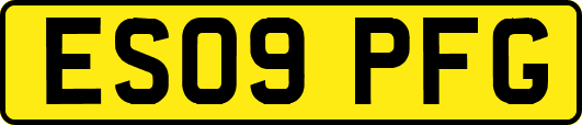 ES09PFG