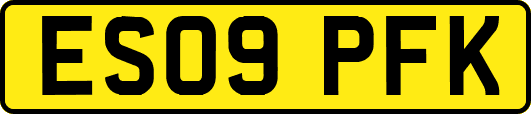ES09PFK