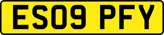 ES09PFY