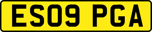 ES09PGA